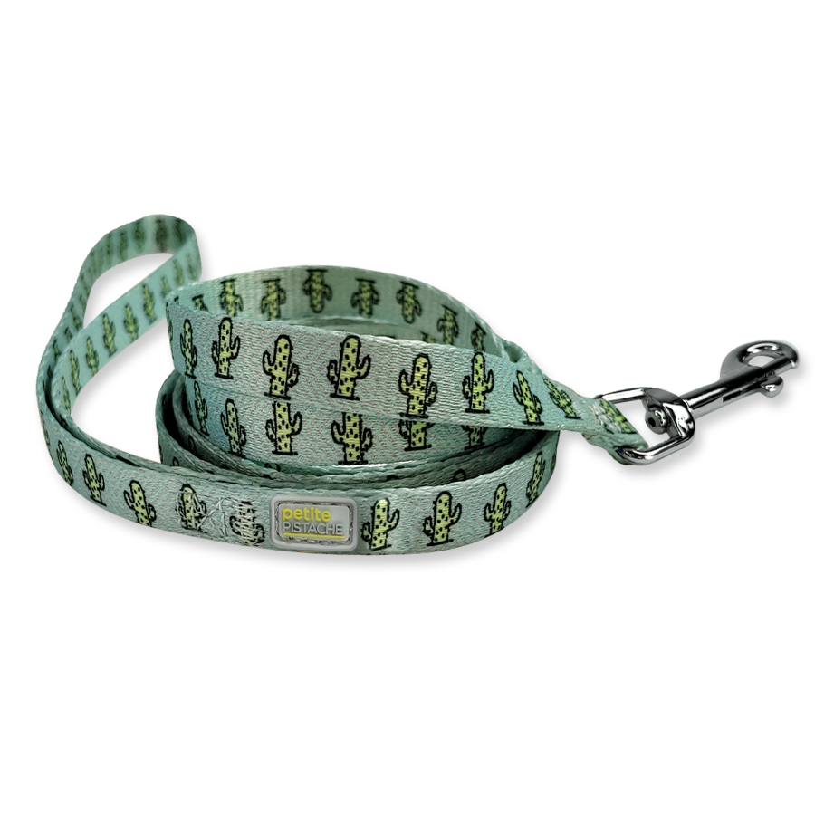 Green Cactus gallery