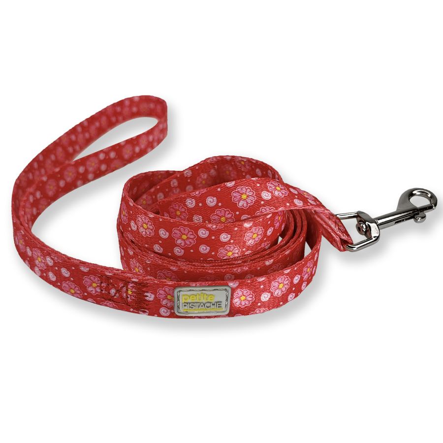 Fuschia Flower gallery