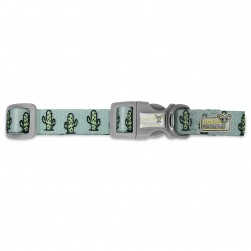 Green Cactus gallery thumb