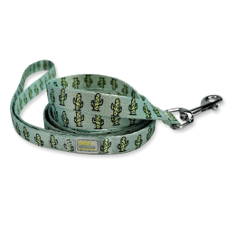 Green Cactus gallery thumb