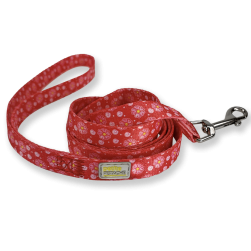 Fuschia Flower gallery thumb