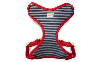 Red/Navy Nautical Stripes